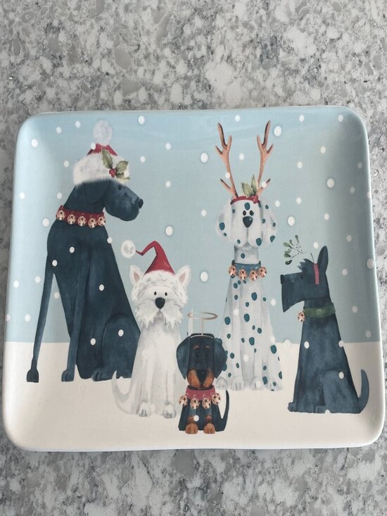 Pier 1 Other - PIER 1 IMPORTS HOLIDAY PUPS PLATTER CHRISTMAS NWT
